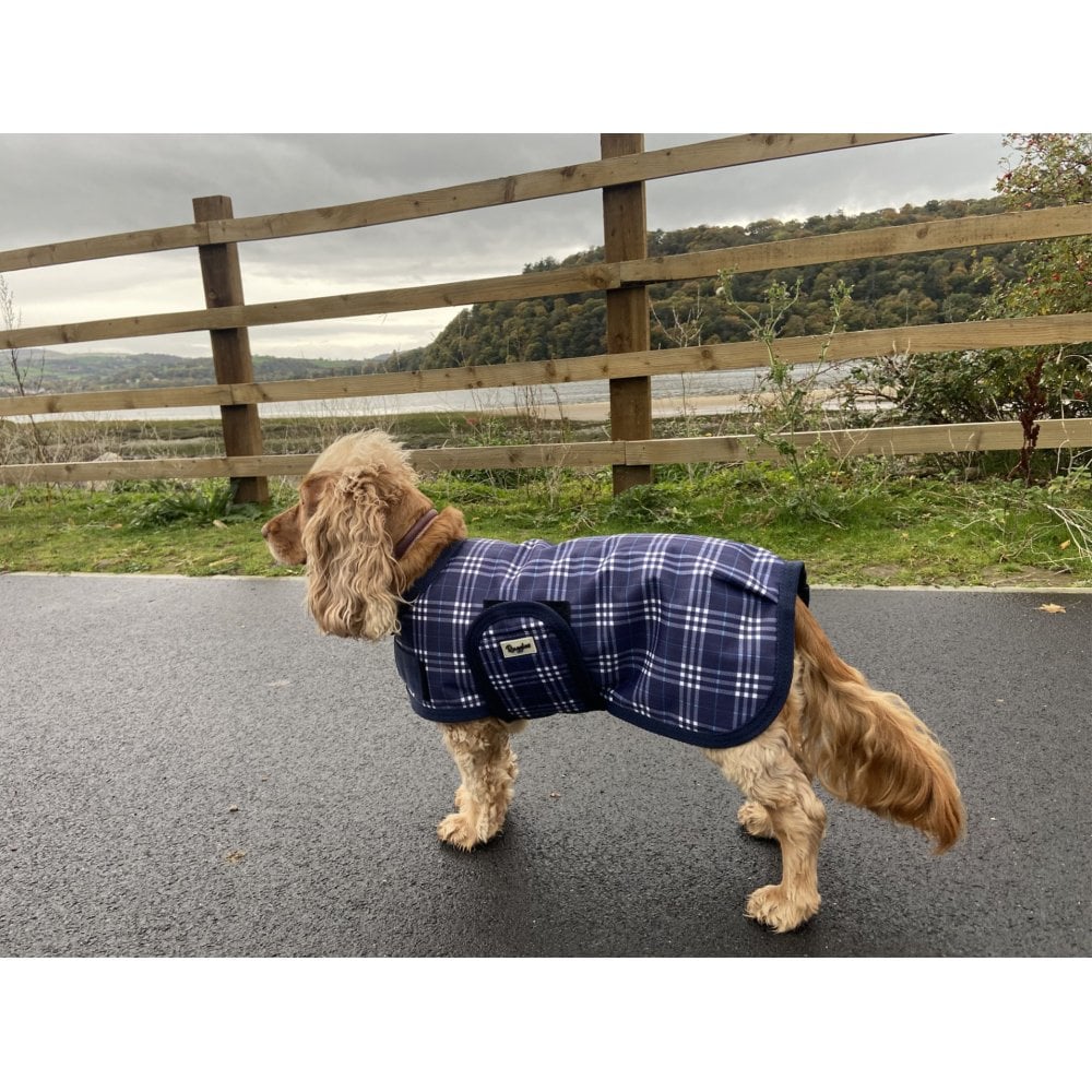Waterproof Dog Coat - Image 6
