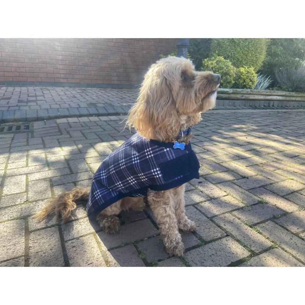 Waterproof Dog Coat - Image 7