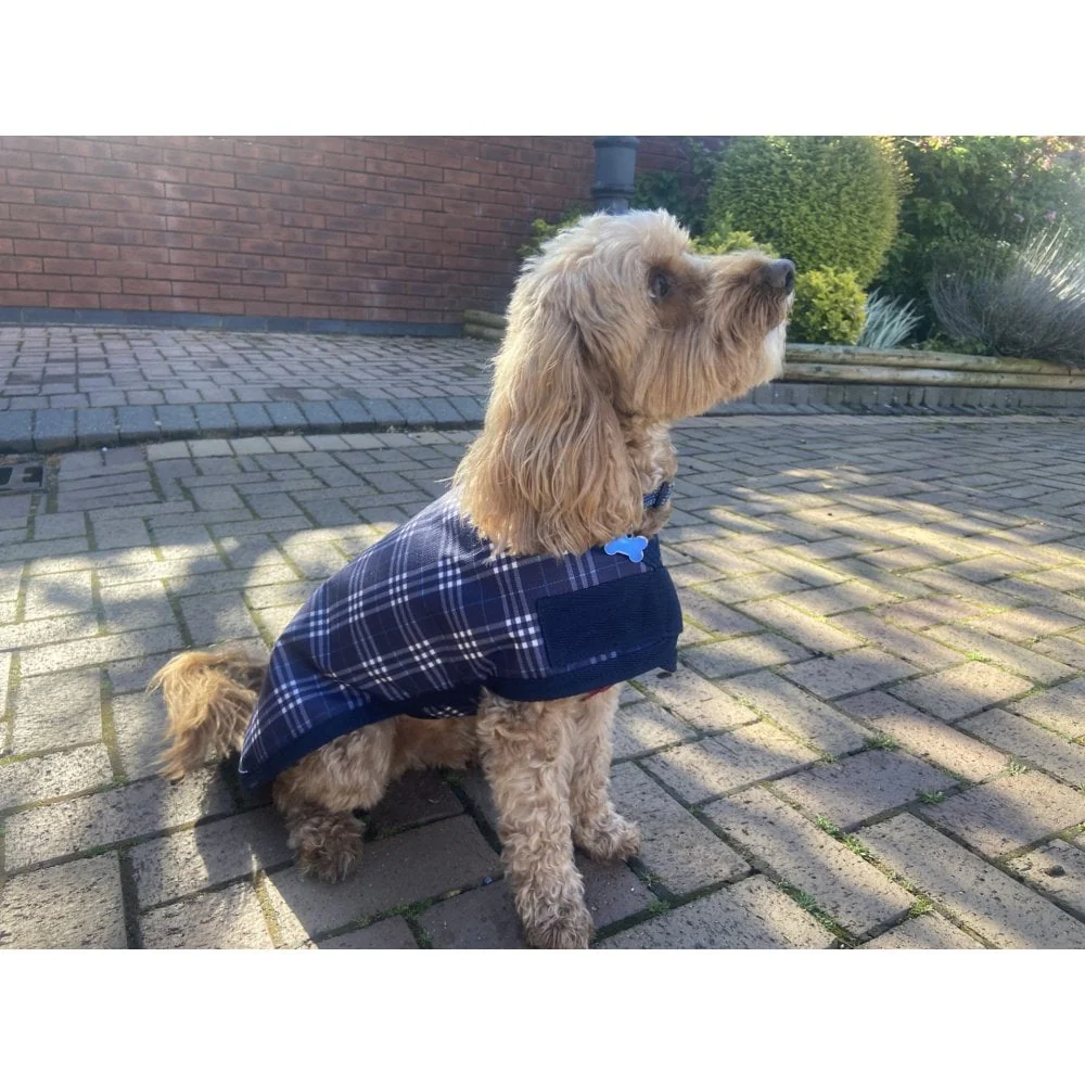 Waterproof Dog Coat - Image 8